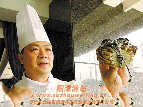 ��Ʒ���κ���բзһֻ���ӣ�