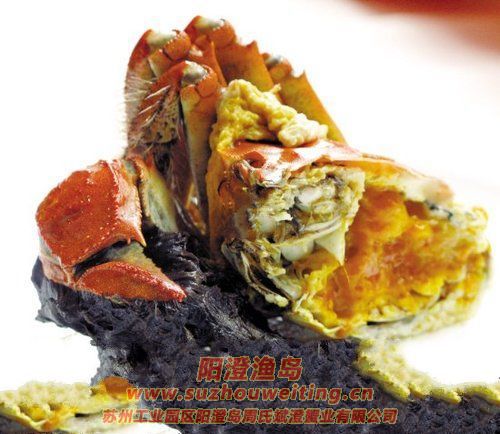 ��Ʒ���κ���բзһֻ���ӣ�