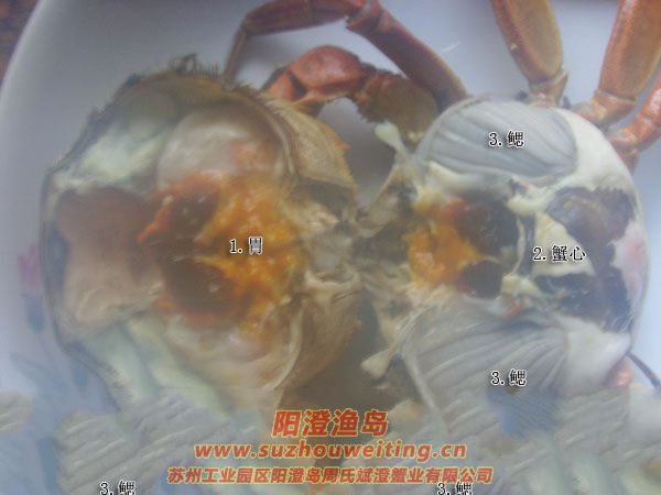 ��зʱ��Ҫ�����Щ��λ