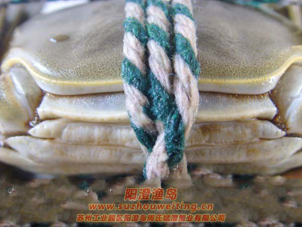 �������κ���բз�ļ����׼