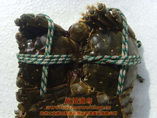 ���κ���բз���淽��