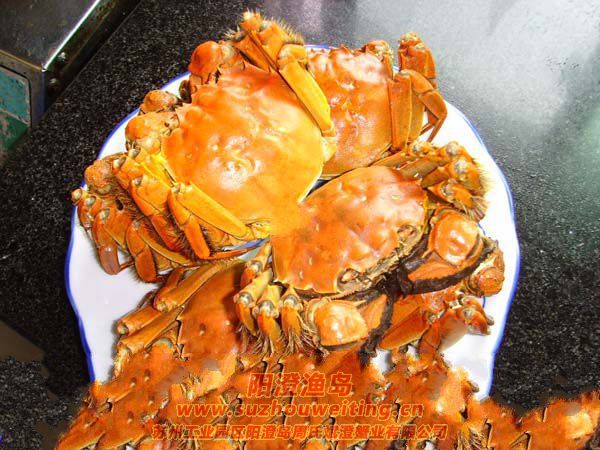 ��зҲҪ��ԭ��