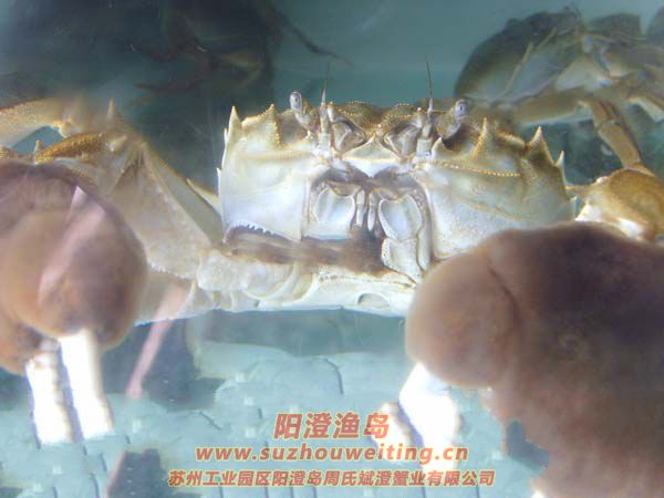 ��зҪѡ��ʱ��