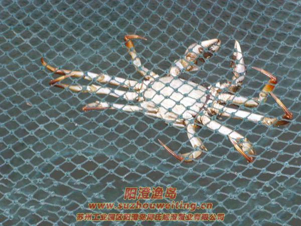 ���κ���բз