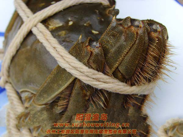 ��բз�ĳԷ�