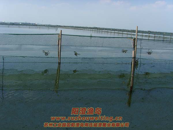 ������з����