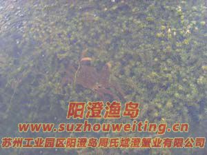 ˮ���ϵ����κ���բз