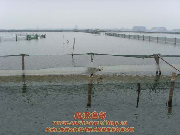 ������з����