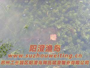 ˮ���ϵ����κ���բз