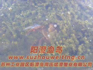 ˮ���ϵ����κ���բз