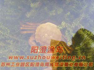 ˮ���ϵ����κ���բз