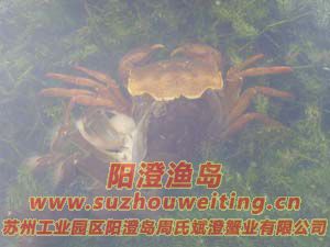 ˮ���ϵ����κ���բз