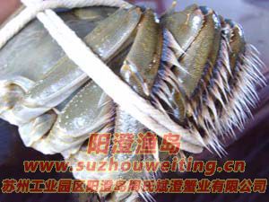 ���κ���բз�Ļ�������