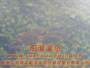 ˮ���ϵ����κ���բз