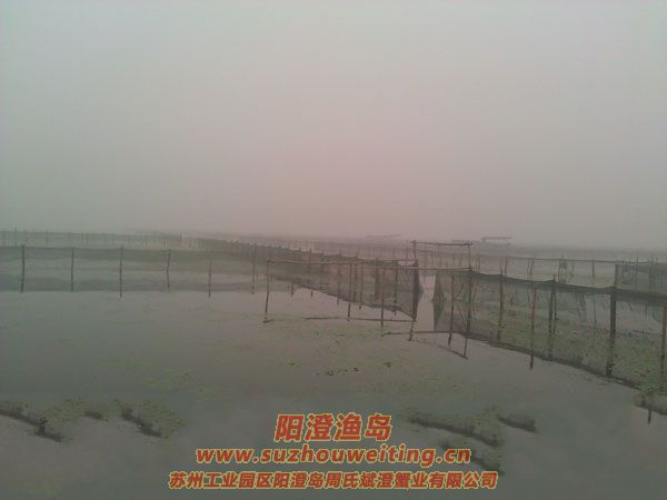 ������ֳ��ͼƬһ