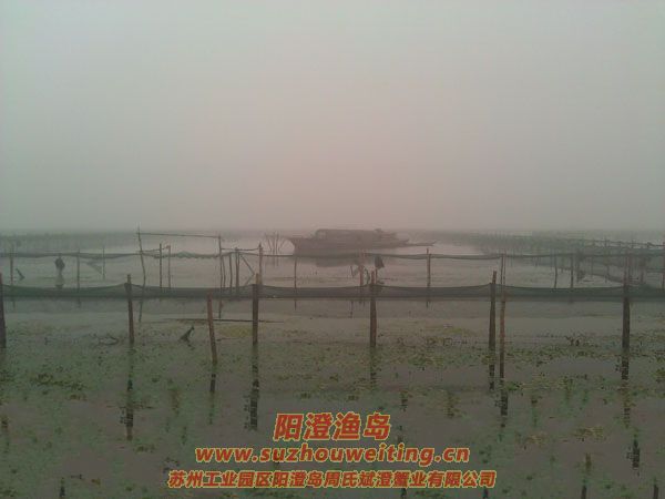 ������ֳ��ͼƬ��