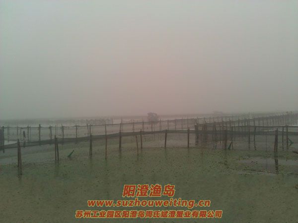 ������ֳ��ͼƬ��