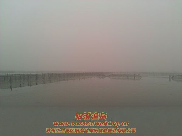 ������ֳ��ͼƬ��