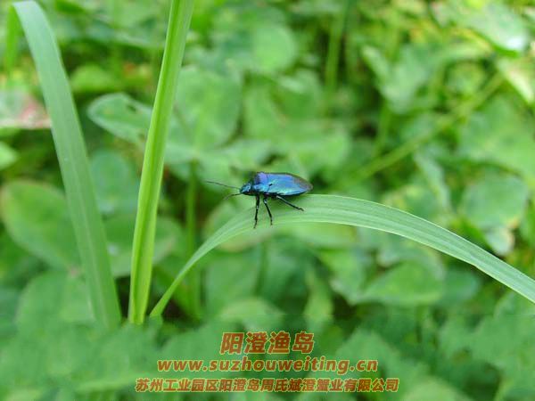 ����ͼƬ��