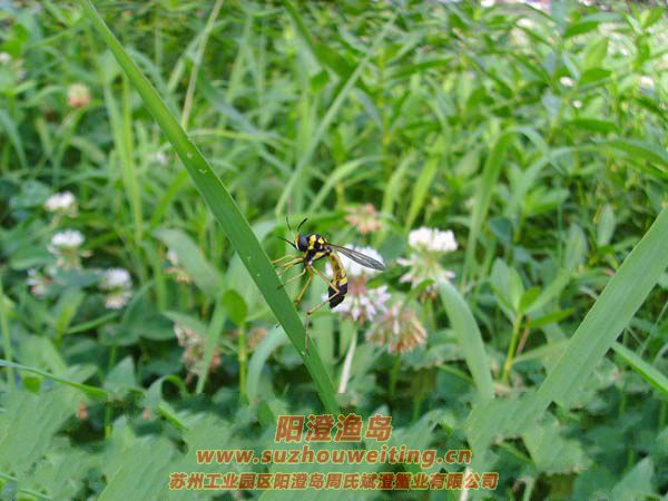 ����ͼƬ��