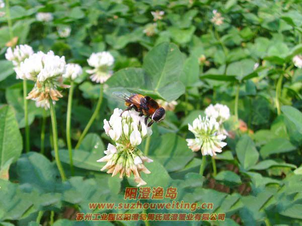 ����ͼƬ��