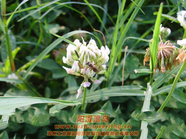 ����ͼƬ��