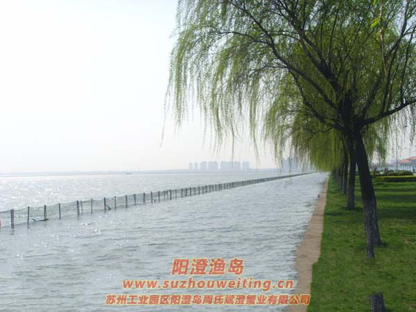 �����������κ�ͼƬһ