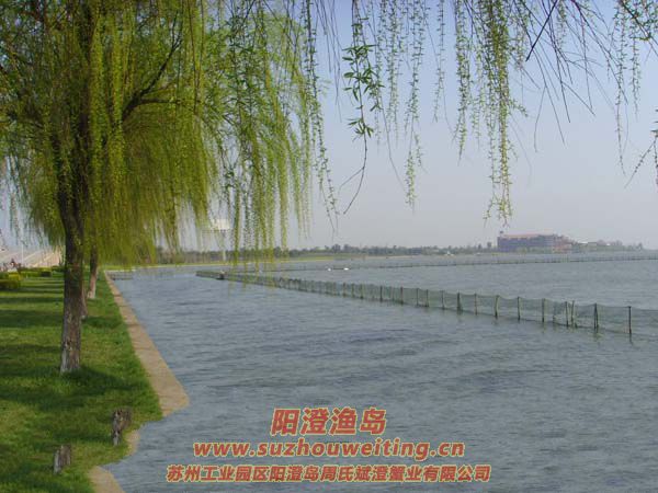 �����������κ�ͼƬ��