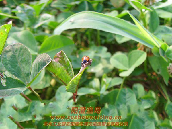 ����ͼƬ��