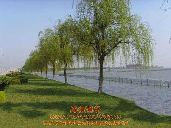 �����������κ�ͼƬ��