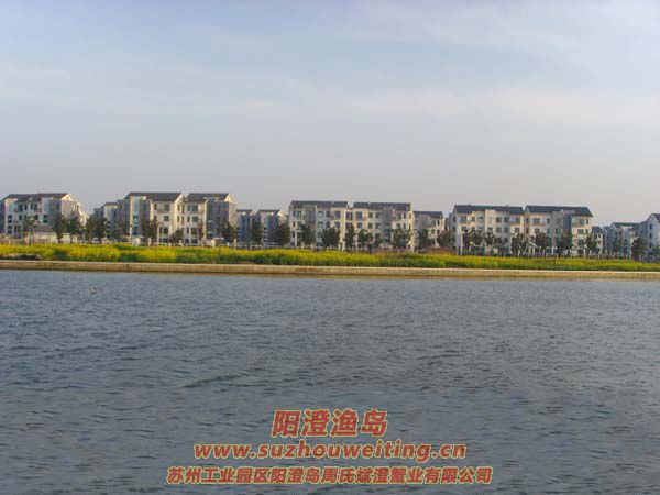 �����������κ�ͼƬ��