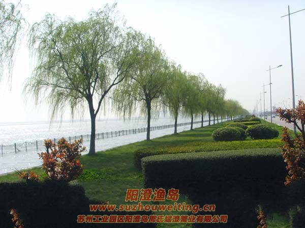 �����������κ�ͼƬ��