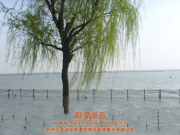 �����������κ�ͼƬ��