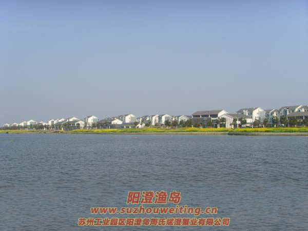 �����������κ�ͼƬ��