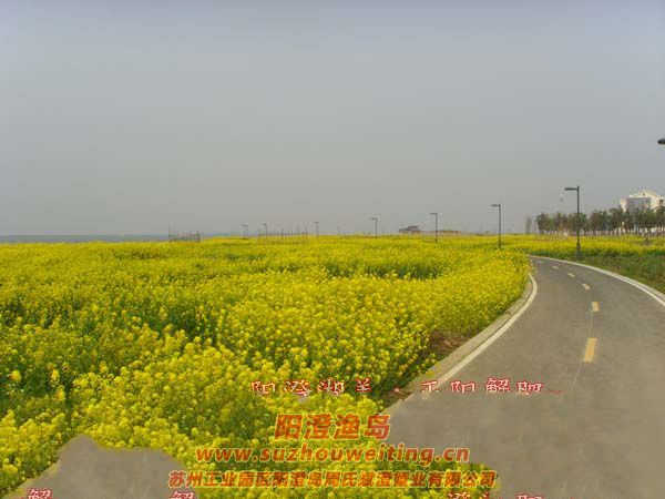 �Ͳ˻�ͼƬ��