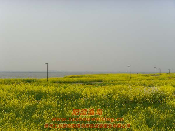 �Ͳ˻�ͼƬ��