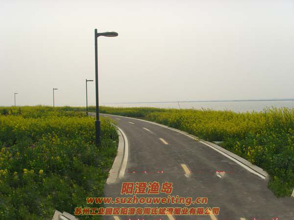 �Ͳ˻�ͼƬ��