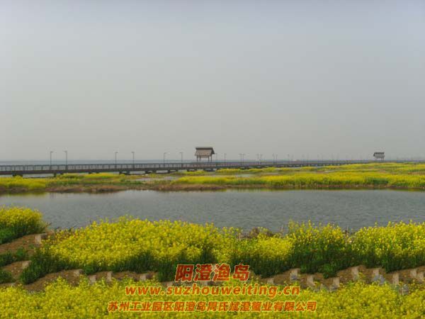 �Ͳ˻�ͼƬ��