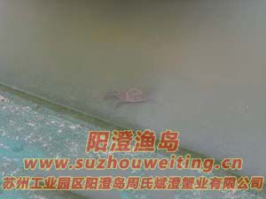 ���κ���բзз��