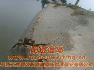 ���κ���բзз��