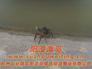 ���κ���բзз��