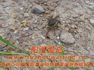 ���κ���բзз��