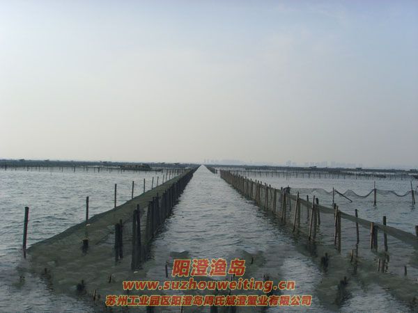 ��ֳ���ֽ�