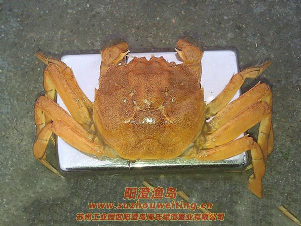 �ڶ����ѿ�