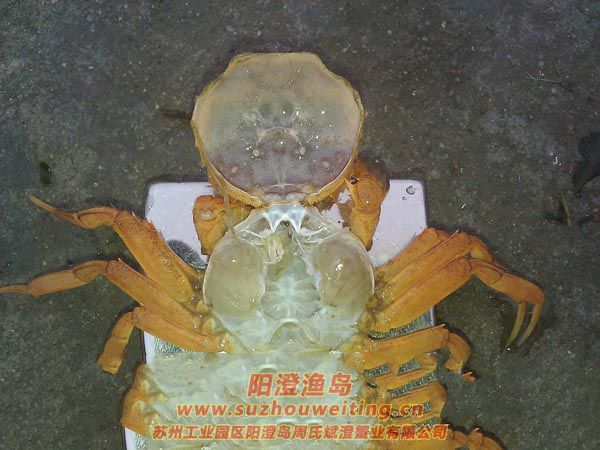 �ڶ����ѿ�