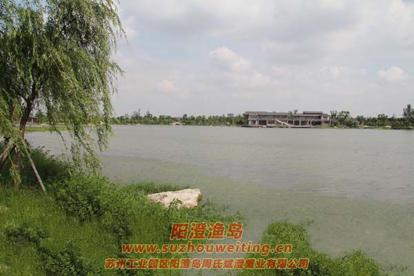 ���غ���԰