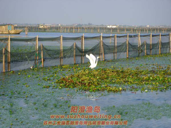 Ұ����ˮ�ʷɷ�