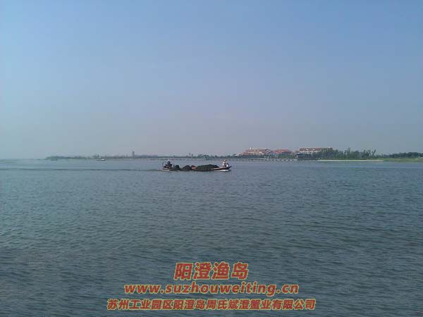 зũ����æͼ��