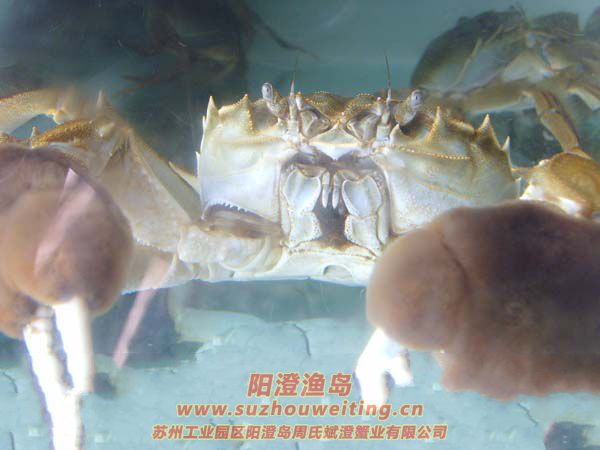 ��բз�ĺ���