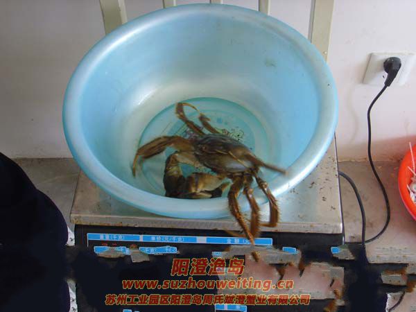 �������κ���բз2